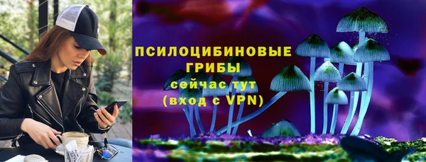 прущий лед Алексин